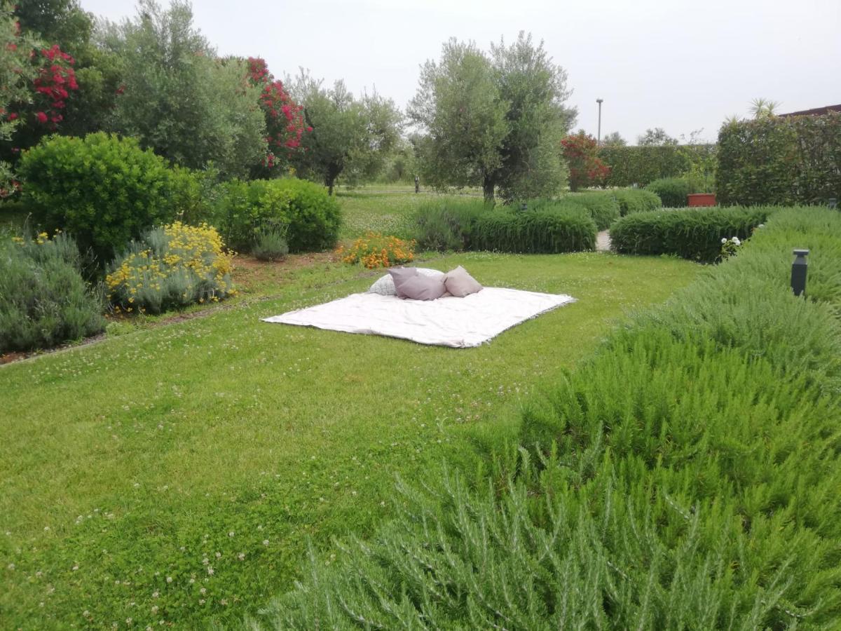 Il Casale Degli Ulivi - Agriturismo - Tenimenti Leone Lanuvio المظهر الخارجي الصورة
