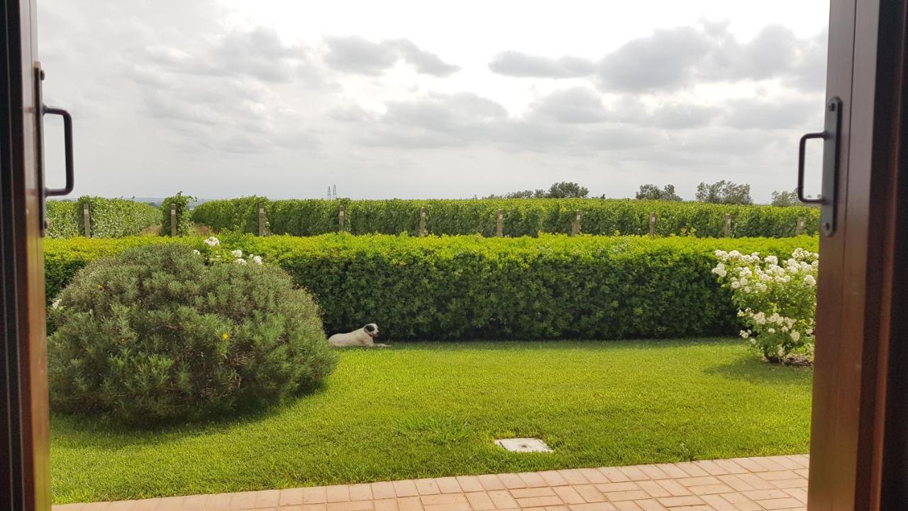 Il Casale Degli Ulivi - Agriturismo - Tenimenti Leone Lanuvio المظهر الخارجي الصورة