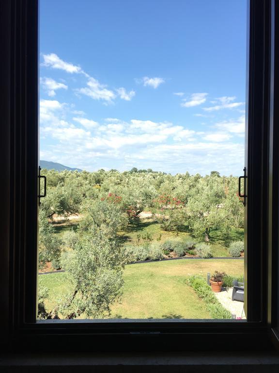 Il Casale Degli Ulivi - Agriturismo - Tenimenti Leone Lanuvio المظهر الخارجي الصورة