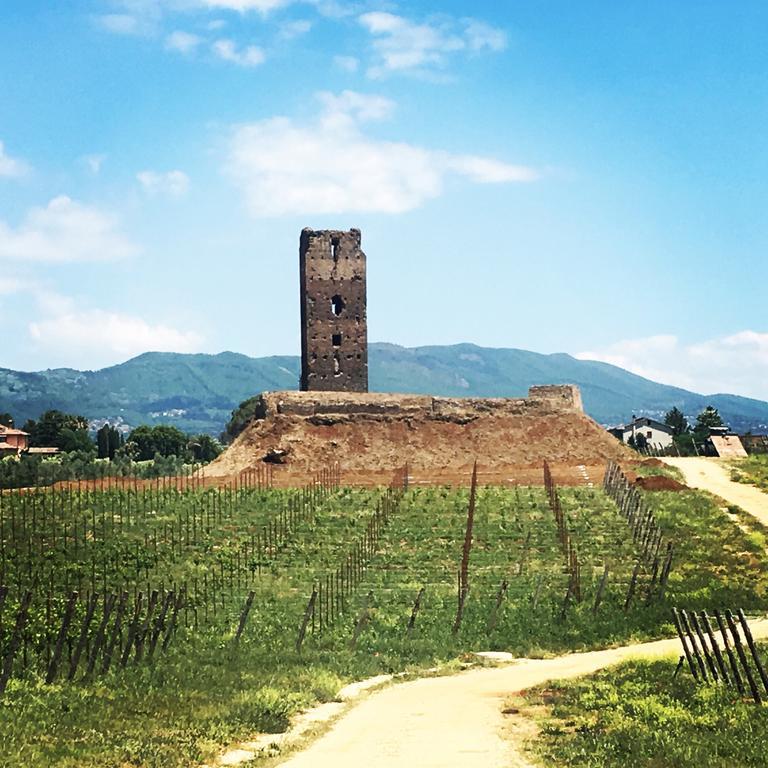 Il Casale Degli Ulivi - Agriturismo - Tenimenti Leone Lanuvio المظهر الخارجي الصورة
