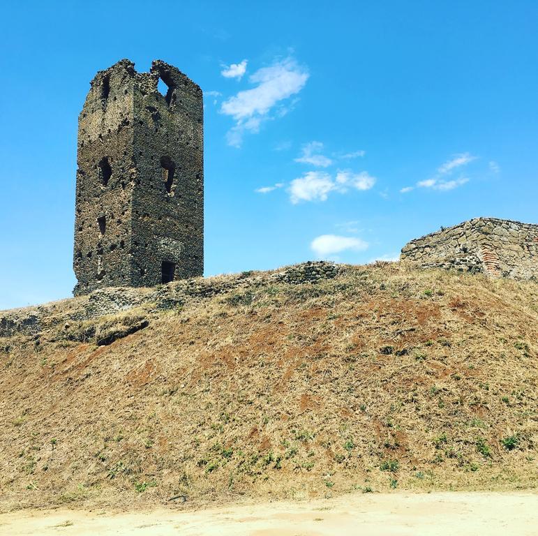 Il Casale Degli Ulivi - Agriturismo - Tenimenti Leone Lanuvio المظهر الخارجي الصورة