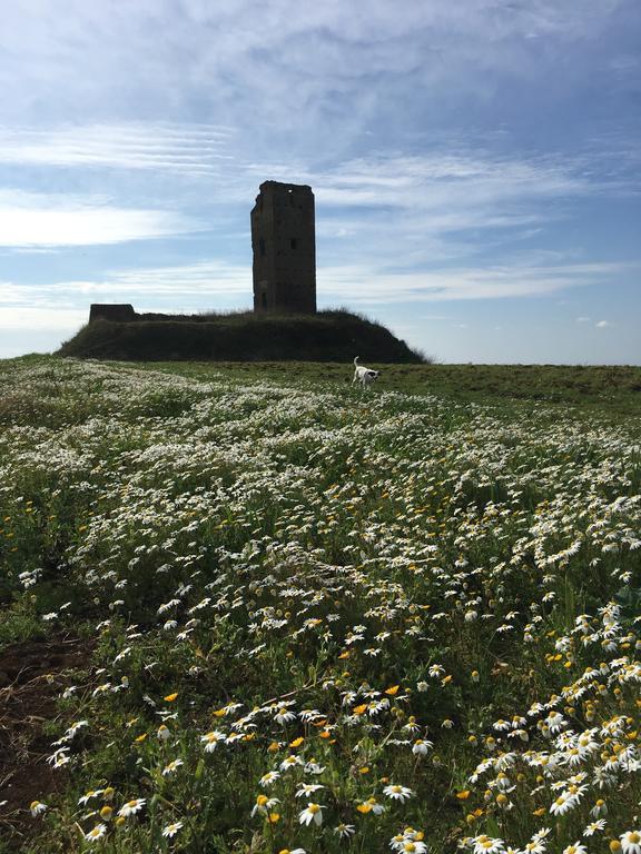 Il Casale Degli Ulivi - Agriturismo - Tenimenti Leone Lanuvio المظهر الخارجي الصورة