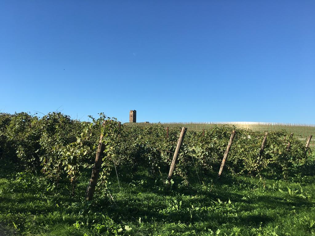 Il Casale Degli Ulivi - Agriturismo - Tenimenti Leone Lanuvio المظهر الخارجي الصورة