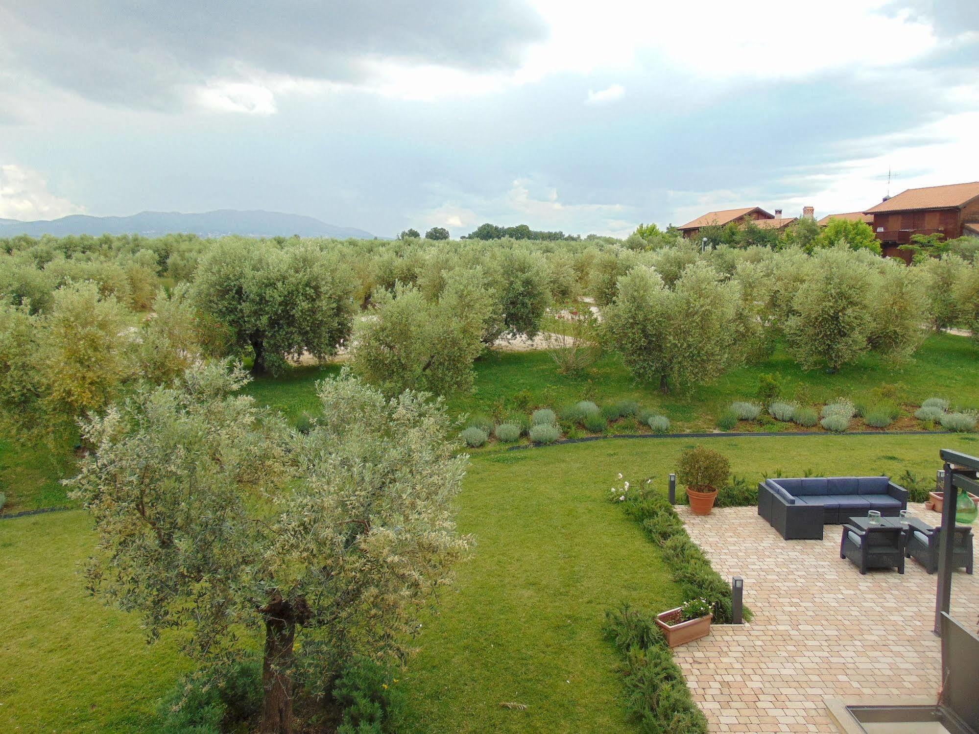 Il Casale Degli Ulivi - Agriturismo - Tenimenti Leone Lanuvio المظهر الخارجي الصورة