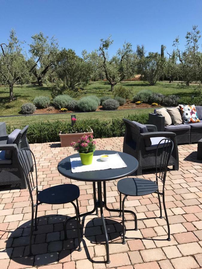 Il Casale Degli Ulivi - Agriturismo - Tenimenti Leone Lanuvio المظهر الخارجي الصورة