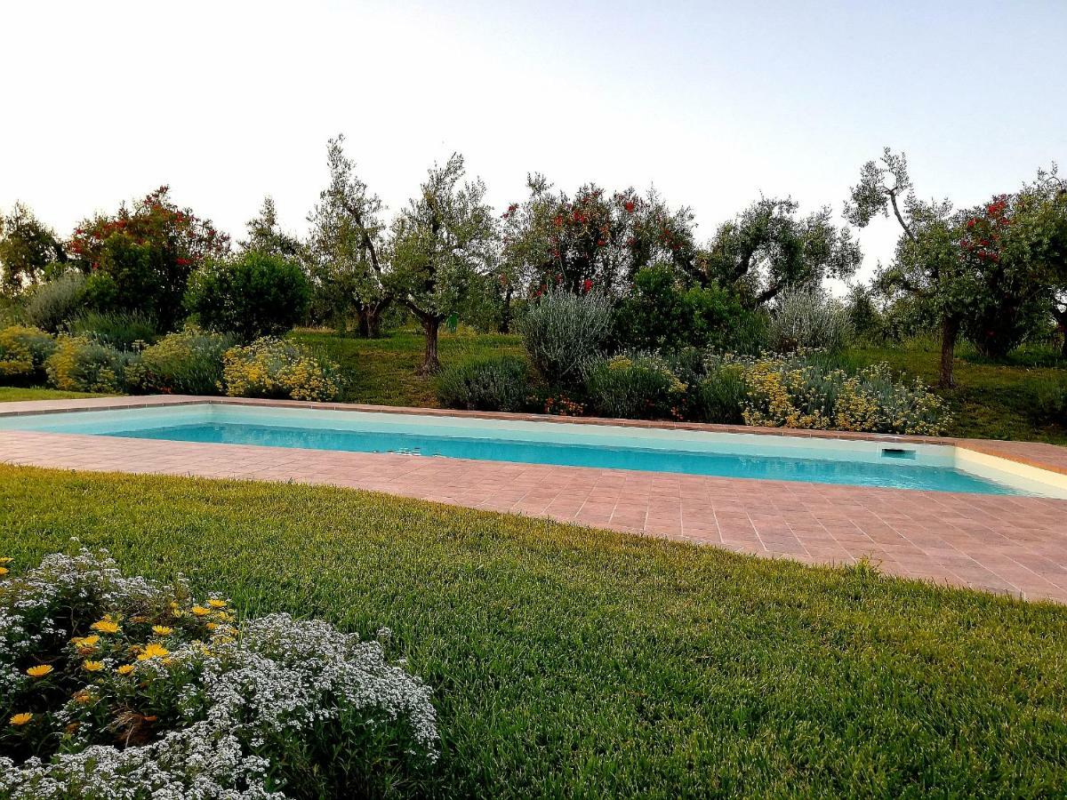 Il Casale Degli Ulivi - Agriturismo - Tenimenti Leone Lanuvio المظهر الخارجي الصورة